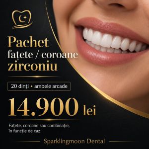 Hollywood Smile: cum alegi între fațete, coroane din zirconiu și ceramică E.max